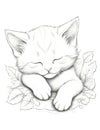 Lazy Catnap Coloring Page: Relaxing Retreat Royalty Free Stock Photo